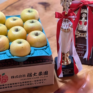 「シナノゴールド」約3kg　訳アリ家庭用りんご【冷蔵：スマートフレッシュ加工】