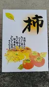 送料無料‼︎和歌山県産 富有柿 （贈答用）