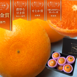 【みかん柑橘グランプリ2026最高金賞】樹上完熟！みかんの大トロ！木熟せとか