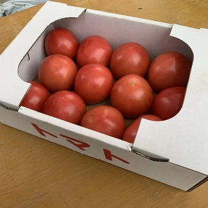 長野県産　信州トマト2kg詰め