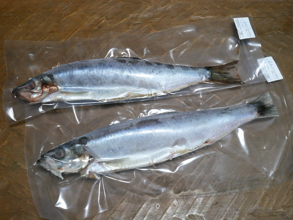 捌けなくても大丈夫 冷凍庫の お魚定期便 をたしなんだ45日間 農家漁師から産地直送の通販 ポケットマルシェ