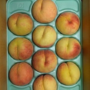 川中島白桃１０玉