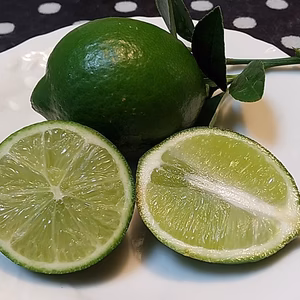 【美津みどり•ライム】【ご家庭用・大小混合】みえの安心食材認定　
