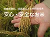 大利根の恵みいっぱい【特別栽培米】コシヒカリ、玄米10kg