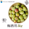 熊野有機生梅（青梅）梅酒専用の生梅 3㎏（6月7日より順次配送）
