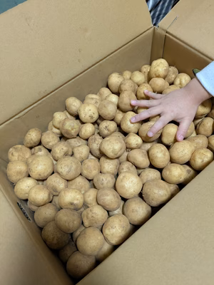 みんなの投稿の画像