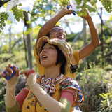 山口祐子 | 山口農園