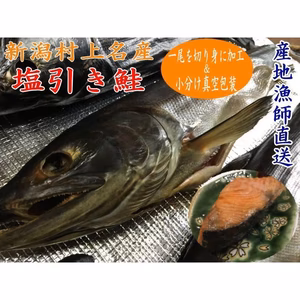 塩引き鮭 生目方3キロ台 切り身&小分け真空包装