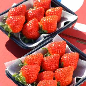 【福袋2026】3～6種類食べ比べセット 150ｇ 6パック