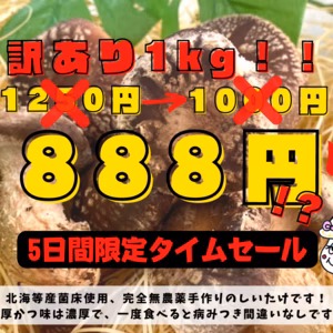 【セール最終日!!】訳ありしいたけ1Kg!!形は変でも味は最高品質です！