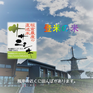 「今摺り米」の2年産【ササニシキ】