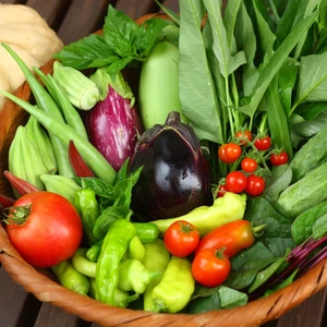 【無農薬・無肥料】余り野菜の！生命力溢れる 旬野菜セット《冷蔵便》