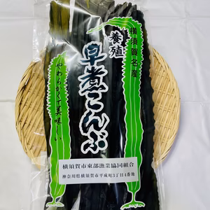 お買い得！　東京湾産　やわらかく、美味しい『猿島乾燥早煮昆布』