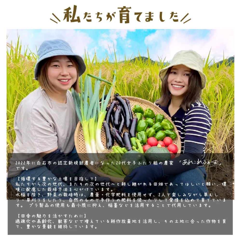 【新米】宮城県白石市産ひとめぼれ 自然乾燥米　5kg
