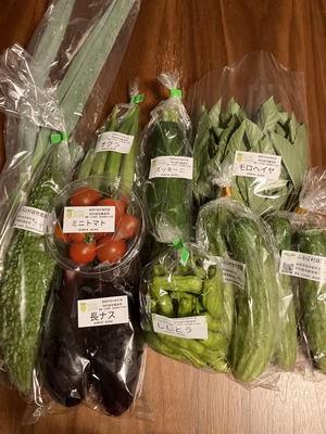 みんなの投稿の画像