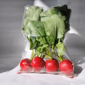 【made in Sand】ビューティーラディッシュ 25株入り