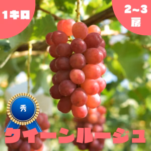 【秀】クイーンルージュ・1.0kg・2~3房