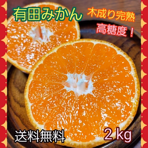 有田みかん『木成り』2kg(箱込)60