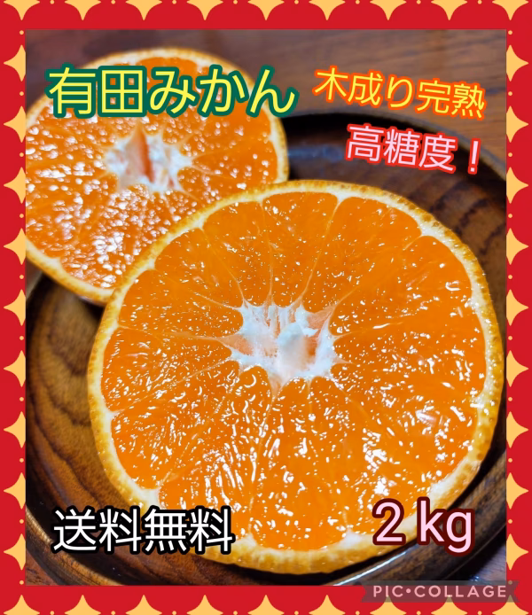 有田みかん『木成り』2kg(箱込)60