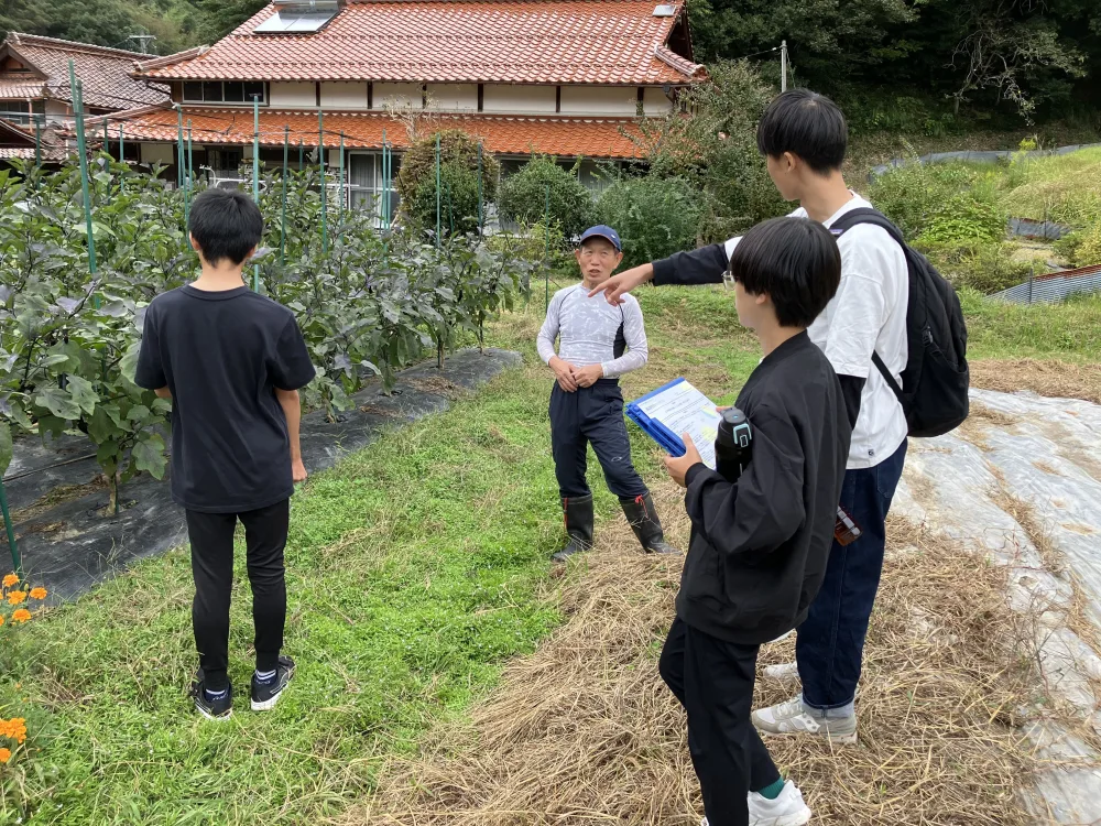 「標高300m 無農薬白菜」まるでアニメの世界観！山口県の秘境で作られた白菜