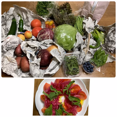 みんなの投稿の画像