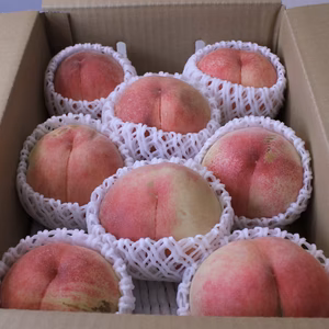 【訳あり】桃　あかつき　3kg 長野県産