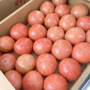 【最後のトマト売り尽くし大放出‼️】大玉トマトりんかおまかせ4キロ前後