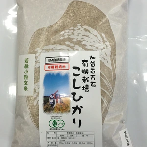 JAS認証 若玄米 緑玄米 令和5年産 有機栽培 コシヒカリ 2kg