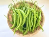 熊野うま辛唐辛子プサジュエラ青《生》