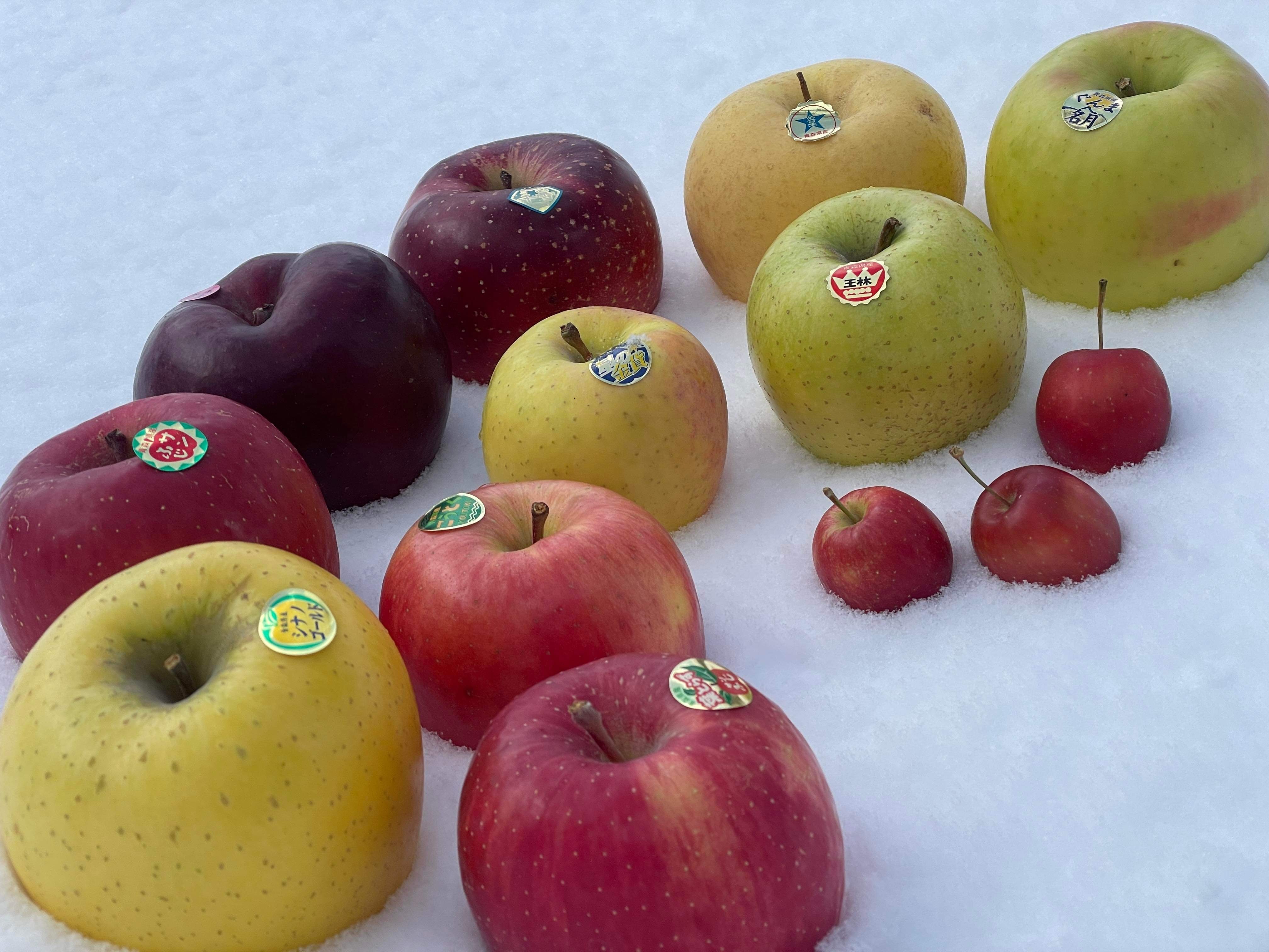 おまかせ4種りんご食べ比べセット 家庭用 約5キロ 農家直送青森りんご