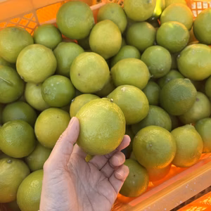 香りが良い静岡県産ライム4kg★ノーワックス・農薬節減★無選別お徳用