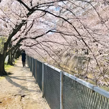 おうちゃんママ