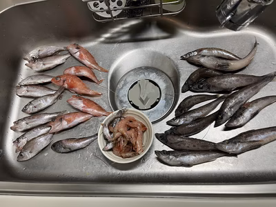 みんなの投稿の画像