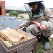 椿園株式会社 佐藤奈緒さんへのみんなの投稿 農家漁師から産地直送の通販 ポケットマルシェ