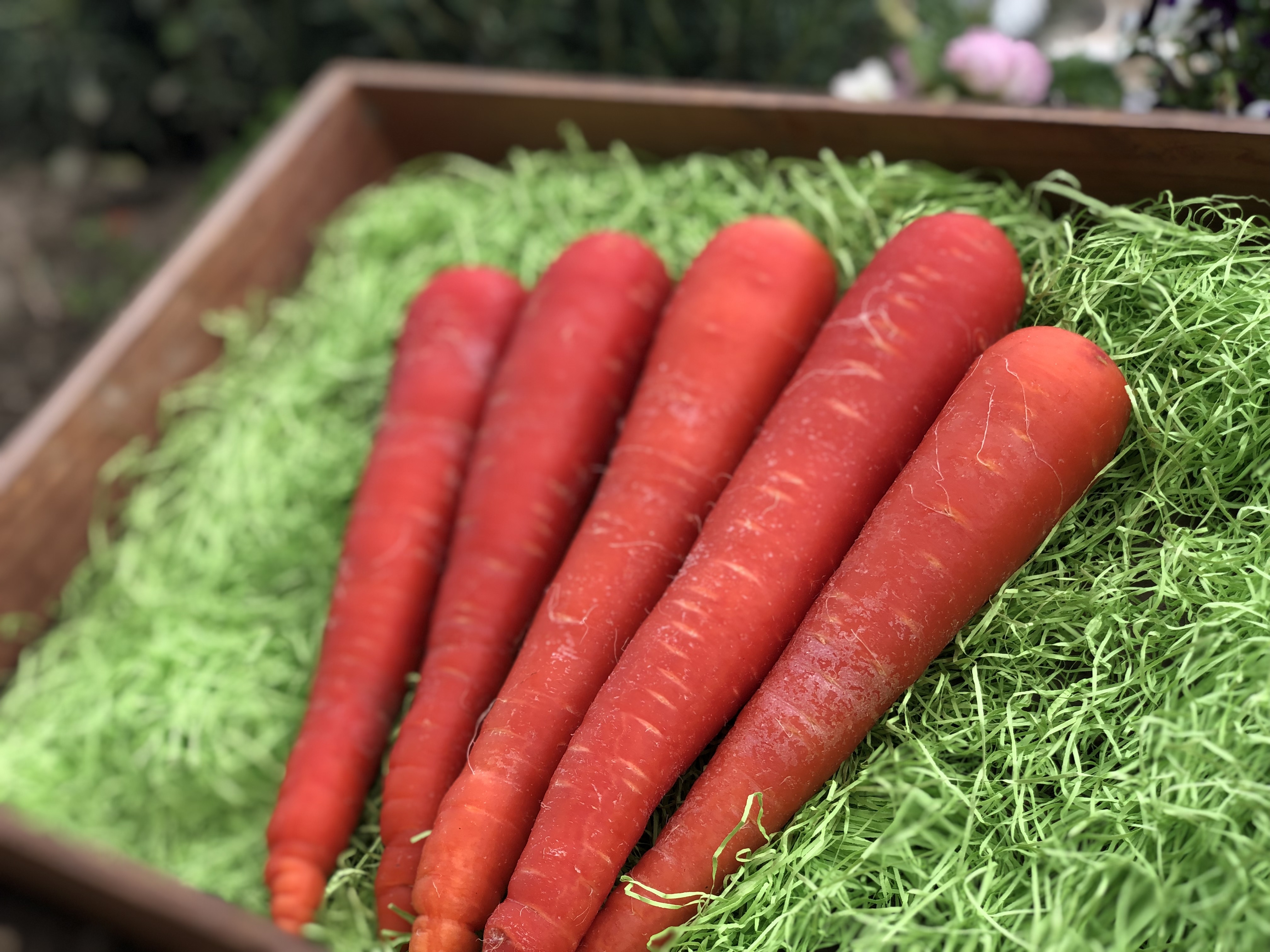 鈴盛農園の赤人参！京くれない｜にんじんの商品詳細｜ポケットマルシェ