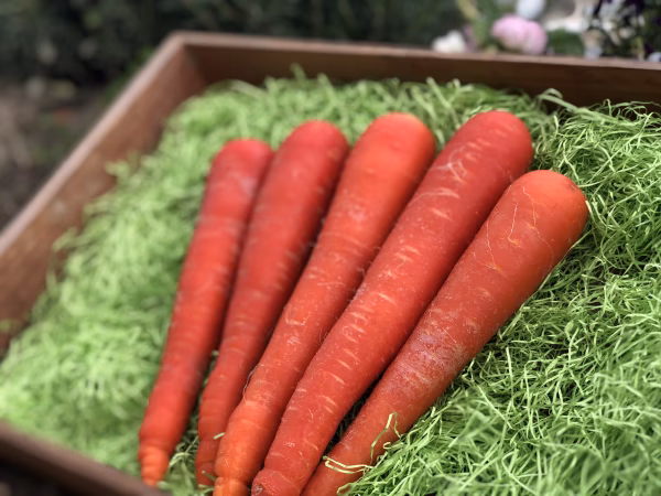 赤人参京くれない 3kgBOX