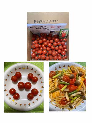 みんなの投稿の画像