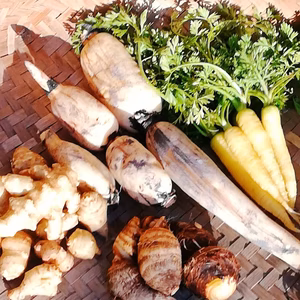 福袋2021〜自然栽培で育った人気野菜〜