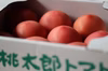 【20%オフ価格！】土耕栽培と安心の減農薬栽培で作るま〜くんトマト　大玉トマト