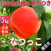 なつっこ 5kg 贈答用