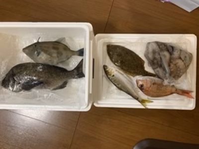 みんなの投稿の画像