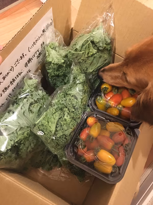 みんなの投稿の画像