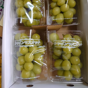 不知火町のシャインマスカット　300g✕４パック