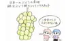 #9月 #1.2キロ〜 #勝沼ぶどう郷産：パリっと食べられるシャインマスカット