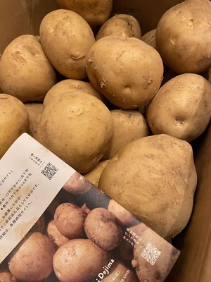 みんなの投稿の画像