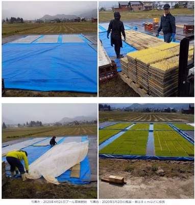 みんなの投稿の画像