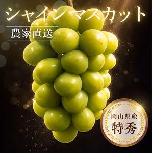 【特秀】岡山県産シャインマスカット 2房（約1kg〜1.4kg）贈答用