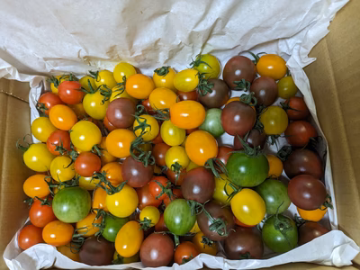 みんなの投稿の画像