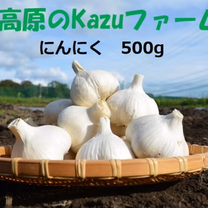 信州八ヶ岳産　農薬・化学肥料不使用にんにく　令和2年産
