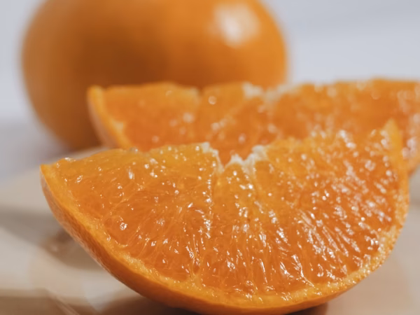 【送料無料】【ぷるぷる果肉】柑橘の大トロ【せとか 家庭用】